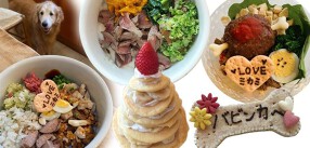 キッチンドッグ！の画像