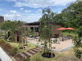 公園のカフェみわの画像