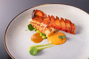 新宿　　和食　新店舗の画像