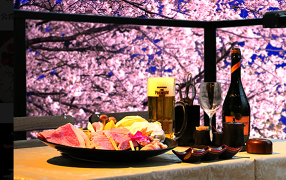 京・黒桜の画像