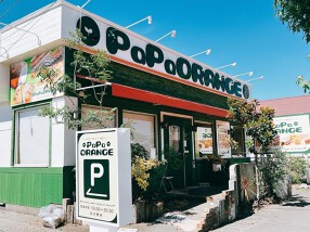 PaPa　ORANGEの画像