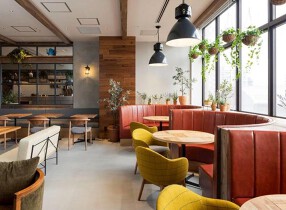 パスタの日 大井町店 新店の画像