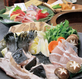 近畿大学水産研究所 銀座店/2362の画像