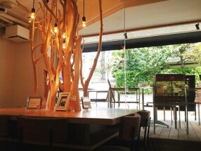 木と水と土との画像