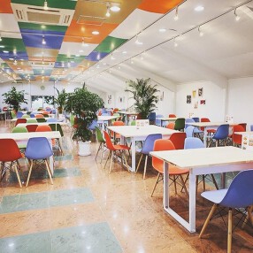 スパイスドラゴンの画像