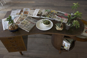 カジュアルなビストロ五井店の画像