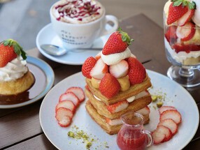 パンとエスプレッソと南森町交差点の画像