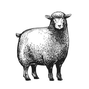 羊爆味坊の画像