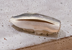 鮨　神楽の画像