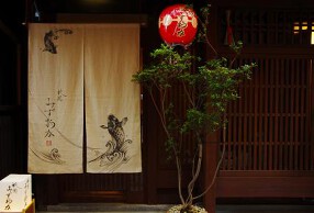 祇園みずおかの画像