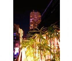 Vita regina 〜brunch〜の画像