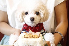 牛たん うしすけ 港北店の画像