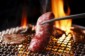 焼肉苑麻布十番店の画像