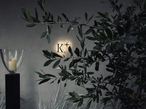 カゲロウプリュスの画像