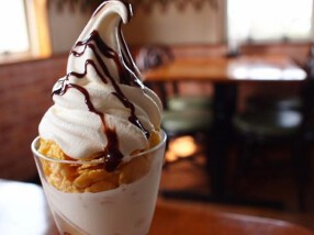 ココプラスアリオ鳳店の画像