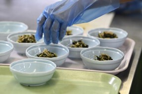 千代田荘の画像