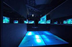 梅田 アクアリウム＆観葉植物 全席個室 和風居酒屋 水木蓮〜SUIMOKURENの画像