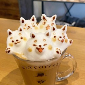 HATCOFFEEの画像