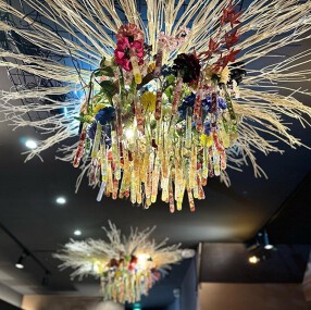 創咲鮨　花かれんの画像