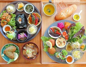 モリンガの木の画像