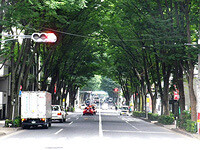 ビストロ Keyakiの画像