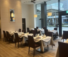 REGA STRADAの画像