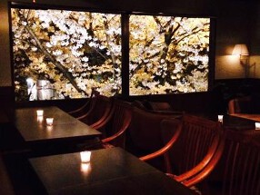 イワカムツカリの画像