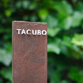 TACUBOの画像