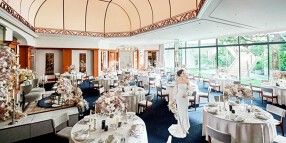 アーフェリーク白金の画像