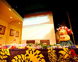 バード オブ パラダイスの画像