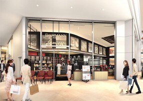 ダマンリュミエール　KITTE大阪店の画像