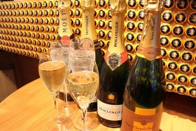 BALバスクの画像