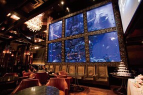 aqua restaurant & bar LUXISの画像