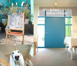 gallery+shulaboの画像