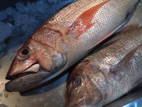 樂旬堂・坐唯杏の画像