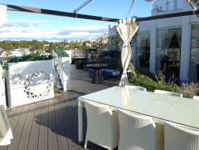 レストラン　ベレッツァ の画像