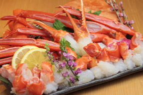 香住 北よし お初天神店の画像