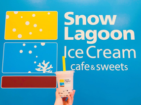 Snow Lagoon Ice Cream 那覇空港店の画像