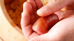 四谷鮨（仮）の画像