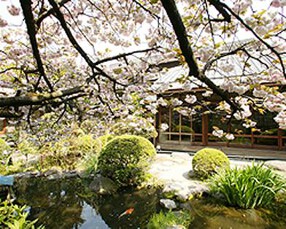 料亭 まつむらの画像