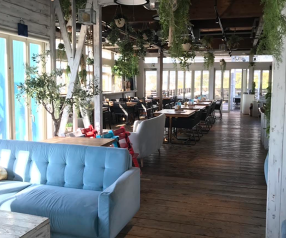 Coral Kitchen at coveの画像