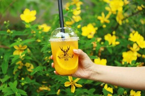 THE ALLEY 恵比寿店の画像