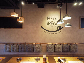 ハライッパイ 武蔵小杉の画像