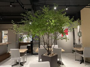 さん 六本木店の画像