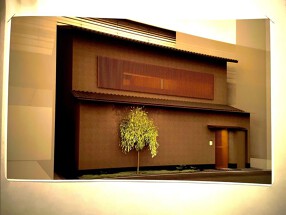 北新地　弧柳の画像