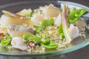 TA+26= たにろくの画像