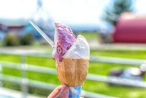 Gelateria KARASU (仮)の画像