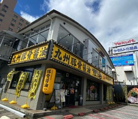 鯉から竜の画像