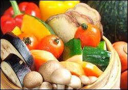 個室Dining 菜 〜sai〜の画像