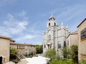 セントポールズパーク プリムローズの画像